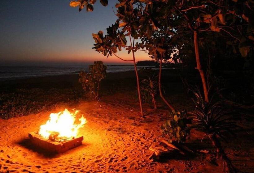 بنسيون Villa Nicomar