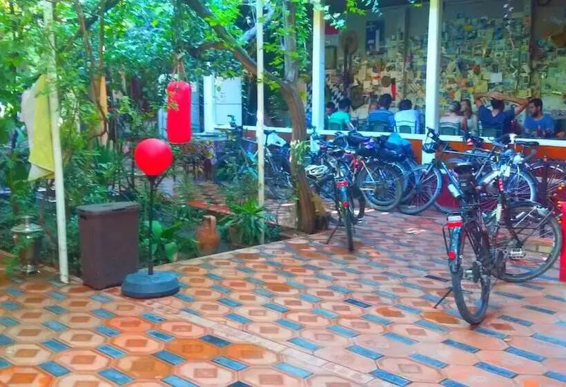 B&b Bahodir