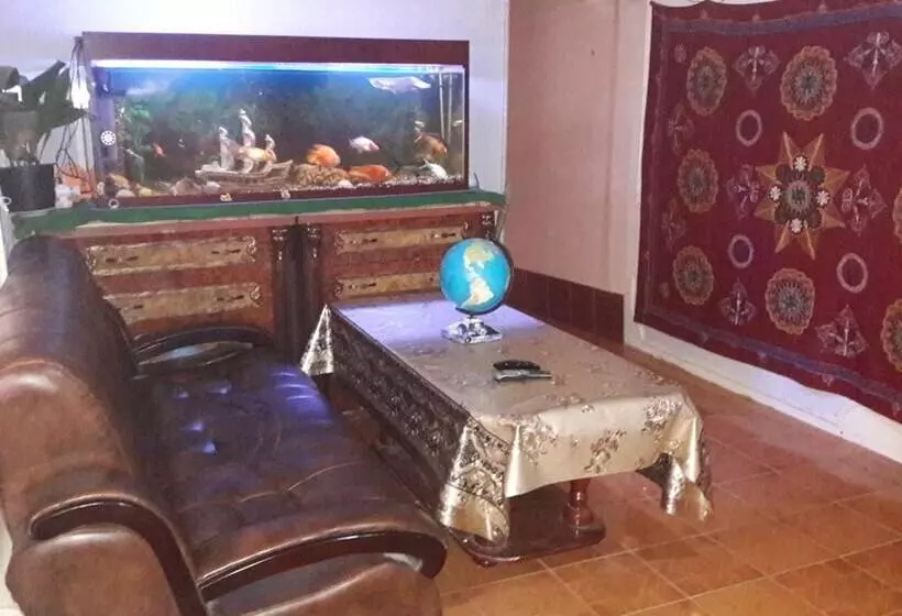 B&b Bahodir