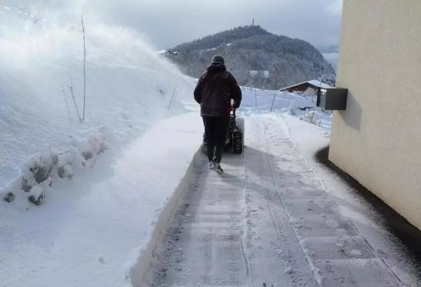 ホテル Chalet Des Alpes
