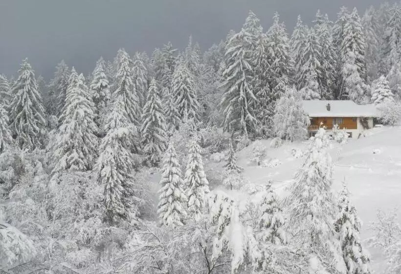 ホテル Chalet Des Alpes