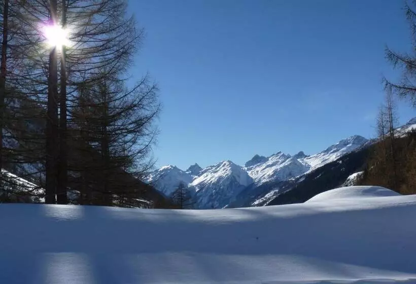 ホテル Chalet Des Alpes