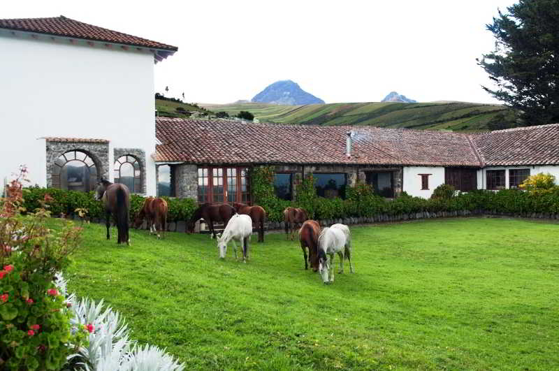 فندق Hacienda Santa Ana