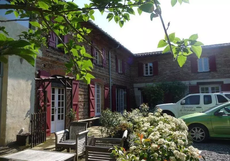 Hotelli Logis Domaine De Peyrolade