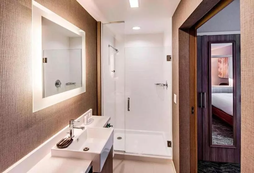 ホテル Springhill Suites By Marriott Dayton Vandalia