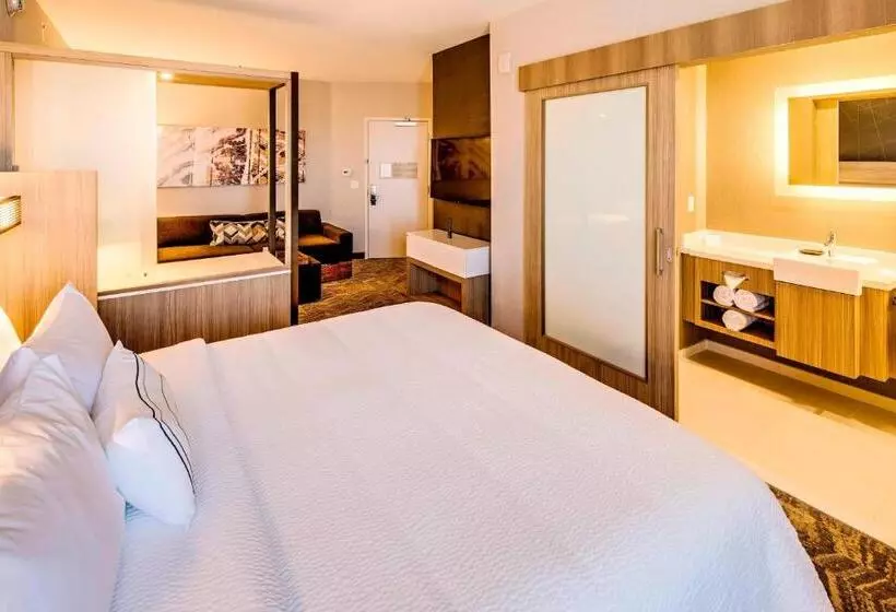 ホテル Springhill Suites By Marriott Dayton Vandalia