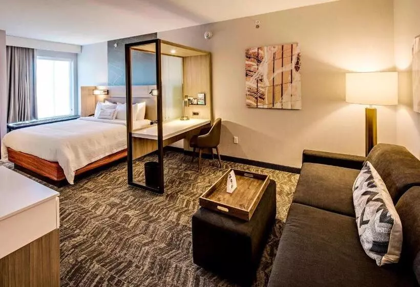 ホテル Springhill Suites By Marriott Dayton Vandalia