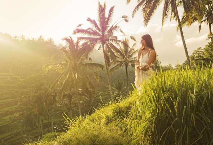 酒店 Visesa Ubud Resort