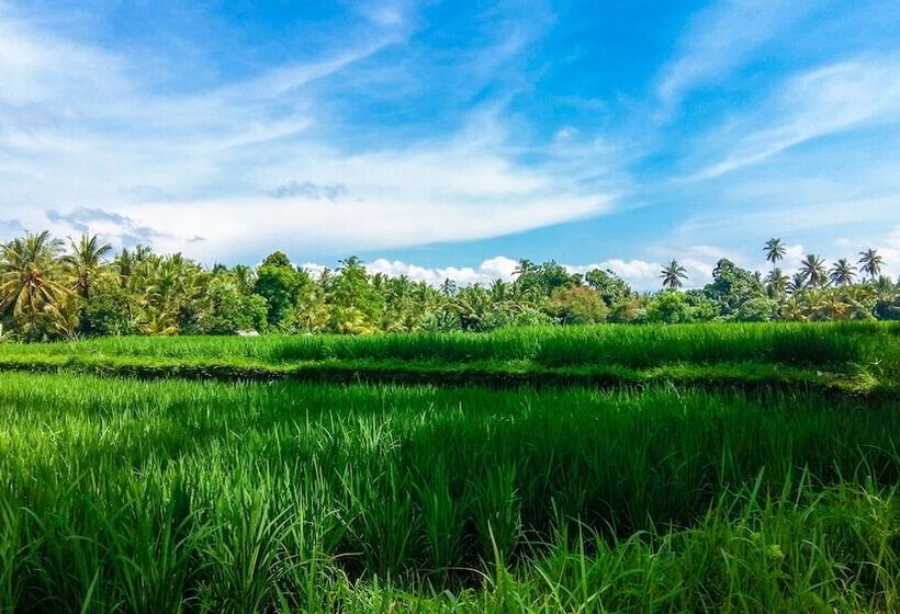 酒店 Visesa Ubud Resort