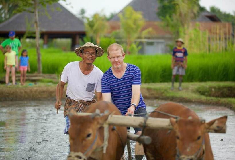 酒店 Visesa Ubud Resort