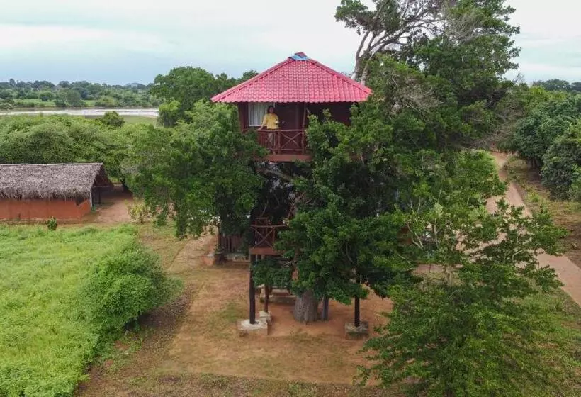 Lomakeskus Animal View Point Yala