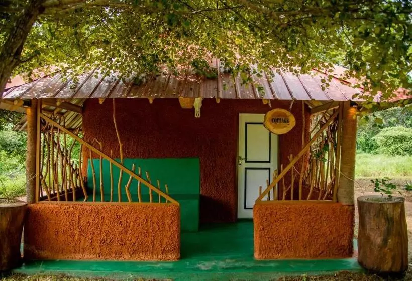 Lomakeskus Animal View Point Yala