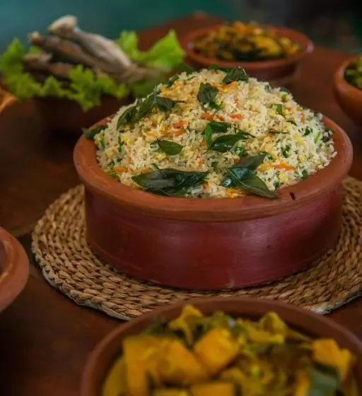 Lomakeskus Animal View Point Yala