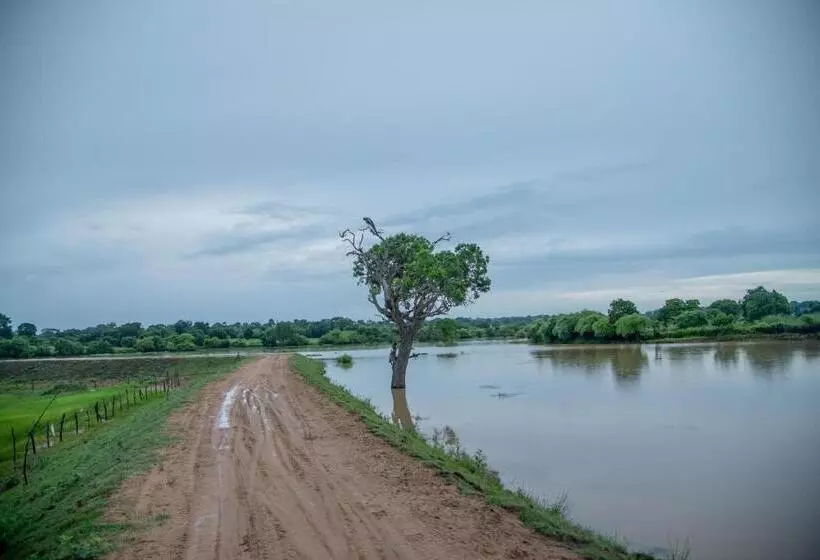 Lomakeskus Animal View Point Yala