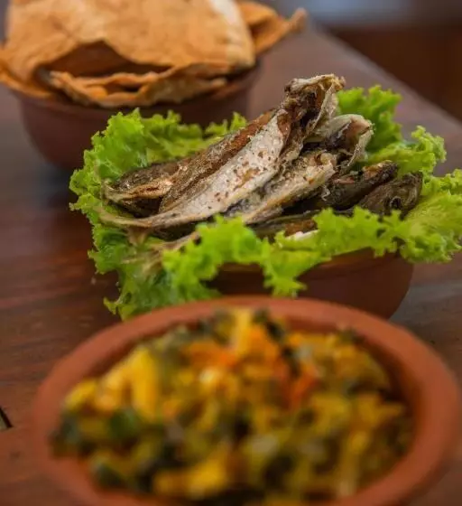 Lomakeskus Animal View Point Yala