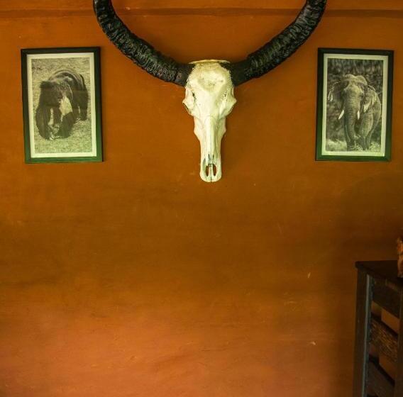 אתר נופש Animal View Point Yala