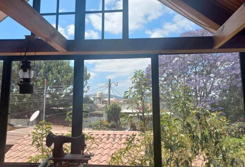 هاستل La Cabaña De Will