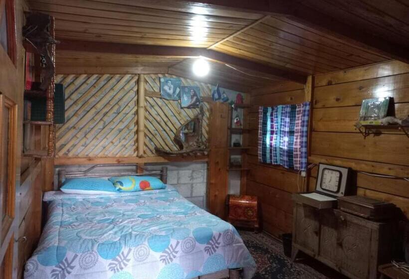 هاستل La Cabaña De Will