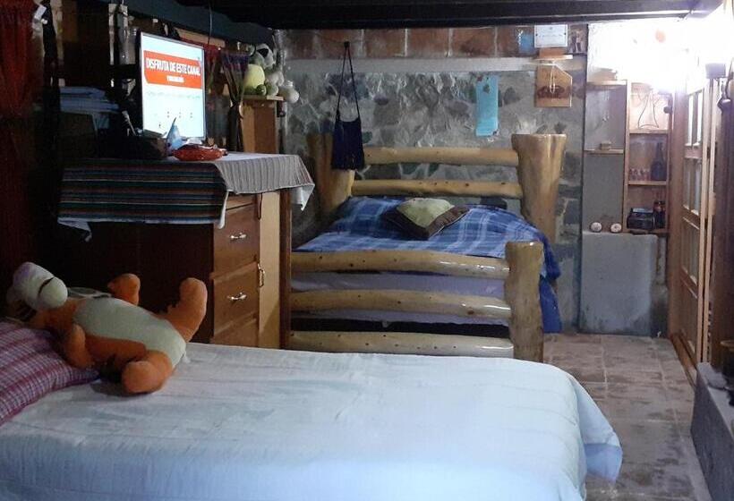 هاستل La Cabaña De Will