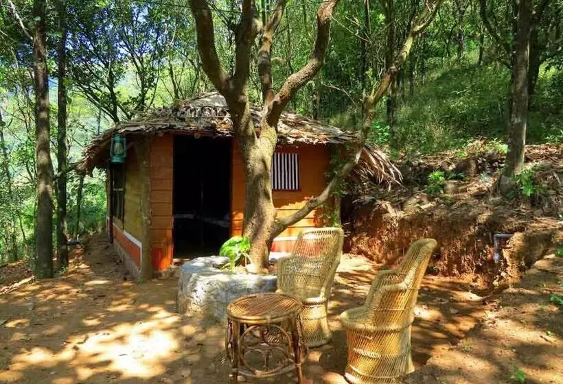 Regina Silva Camping & Nature Resort