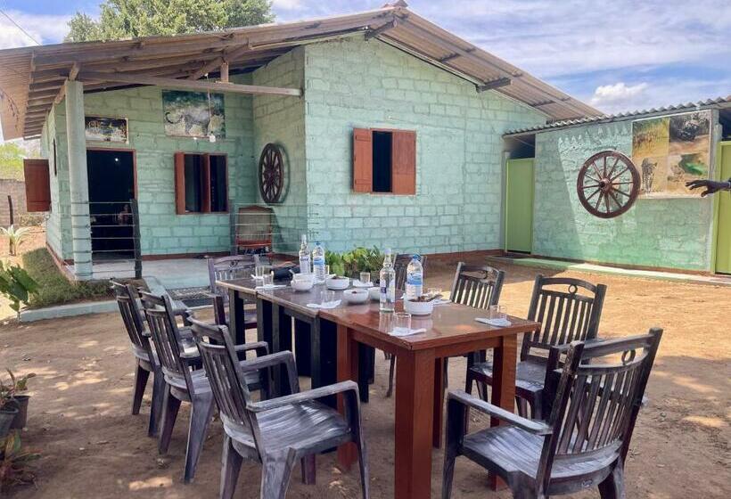 فندق صغير Jungle House And Camping Tents