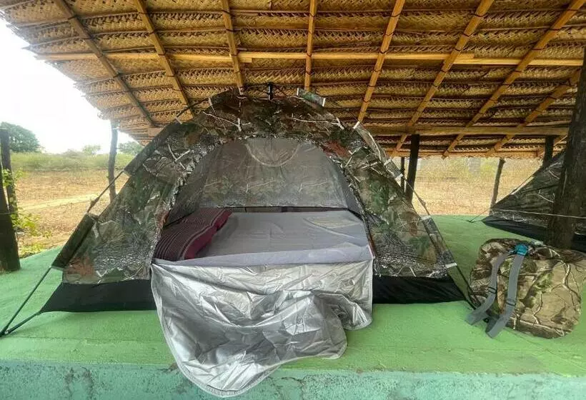ユースホステル Jungle House And Camping Tents