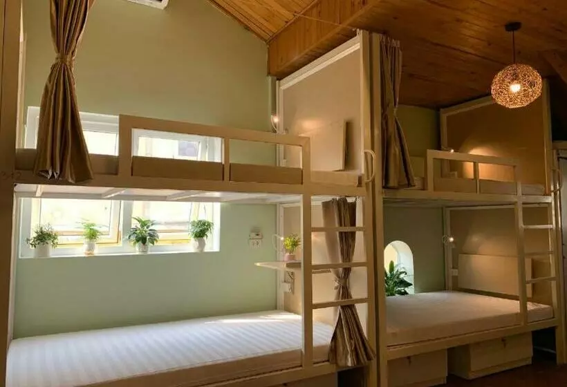 Bamboo Hostel