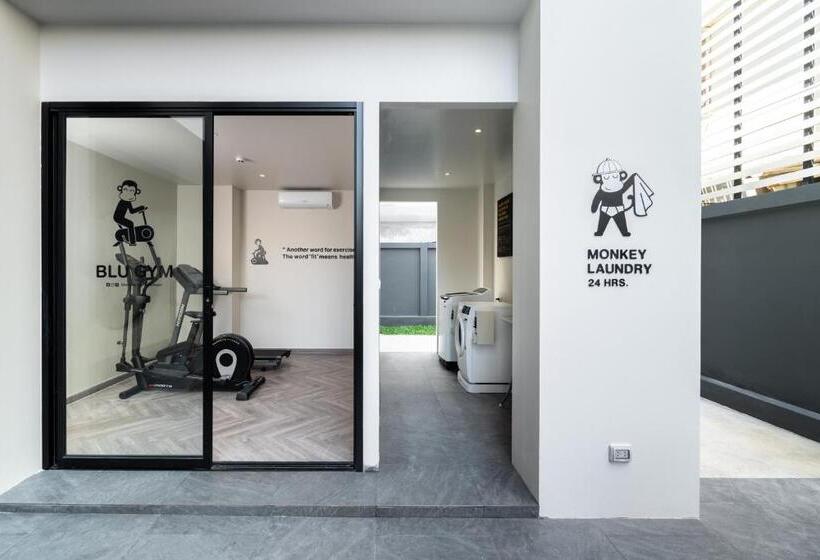 Newly Opened   Blu Monkey Hub And Hotel Krabi Town