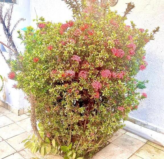 Hostel Praia Do Recreio