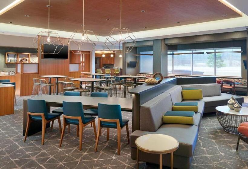 فندق Springhill Suites By Marriott Arlington Tn