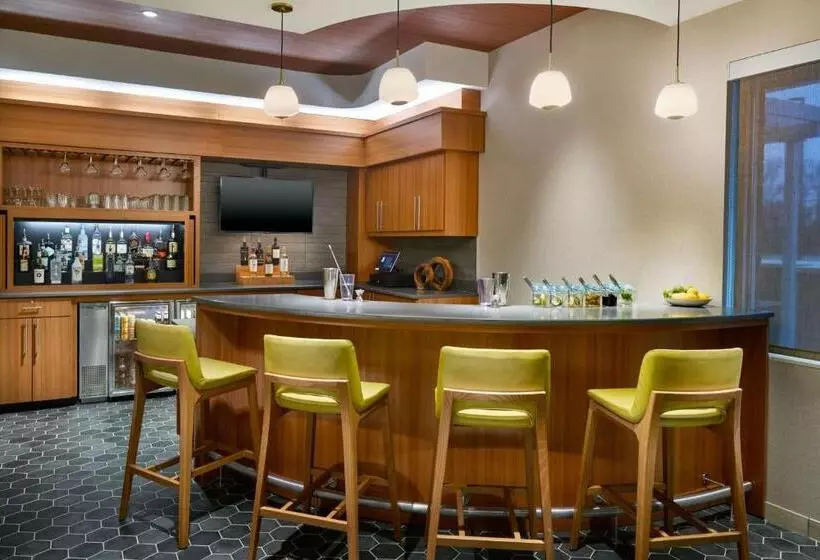 Hotelli Springhill Suites By Marriott Arlington Tn