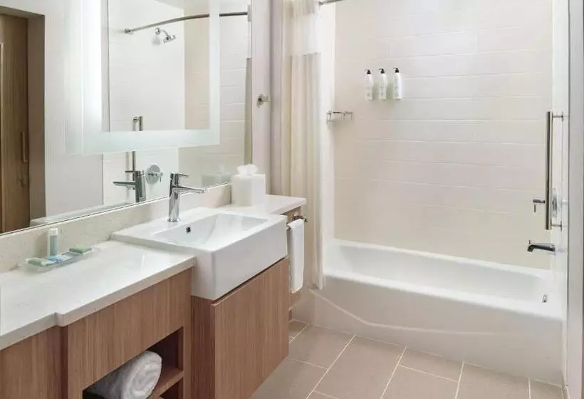 Hotelli Springhill Suites By Marriott Arlington Tn