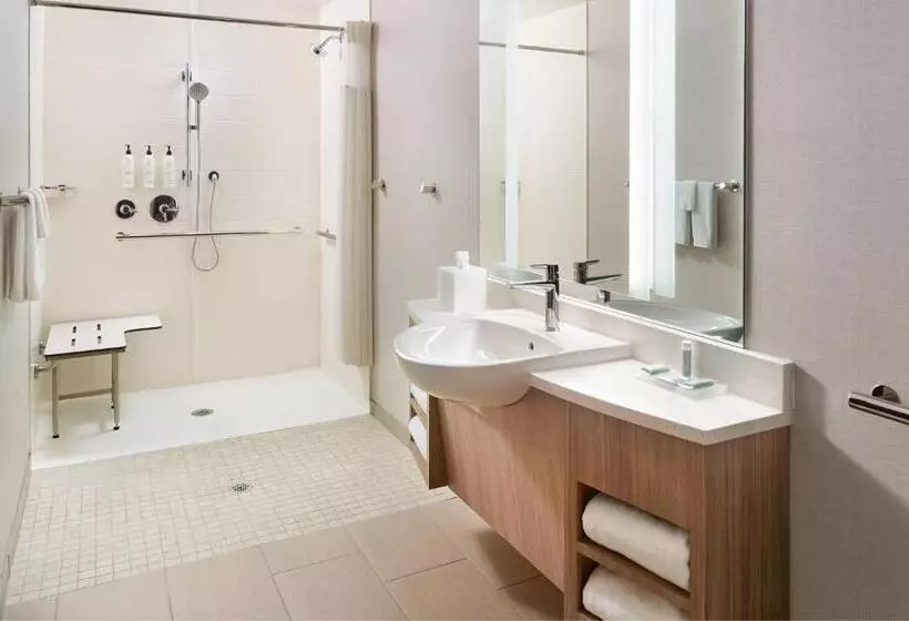 Hotelli Springhill Suites By Marriott Arlington Tn