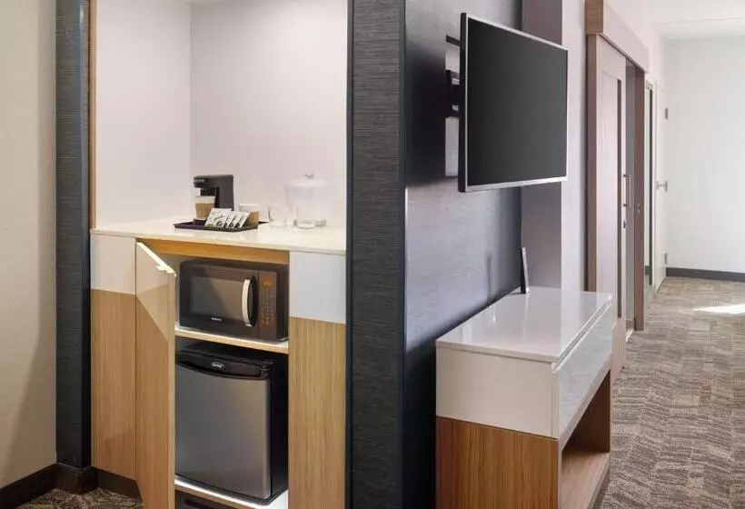 Hotelli Springhill Suites By Marriott Arlington Tn