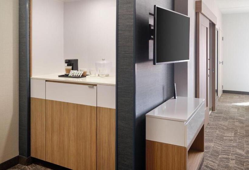 فندق Springhill Suites By Marriott Arlington Tn