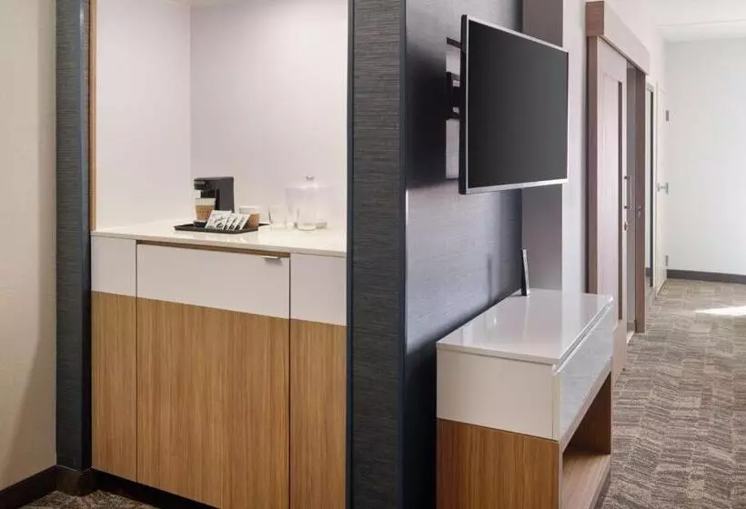Hotelli Springhill Suites By Marriott Arlington Tn