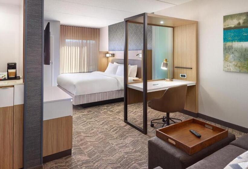 فندق Springhill Suites By Marriott Arlington Tn