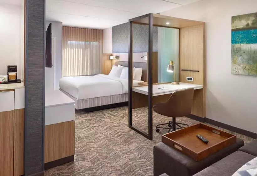 Hotelli Springhill Suites By Marriott Arlington Tn