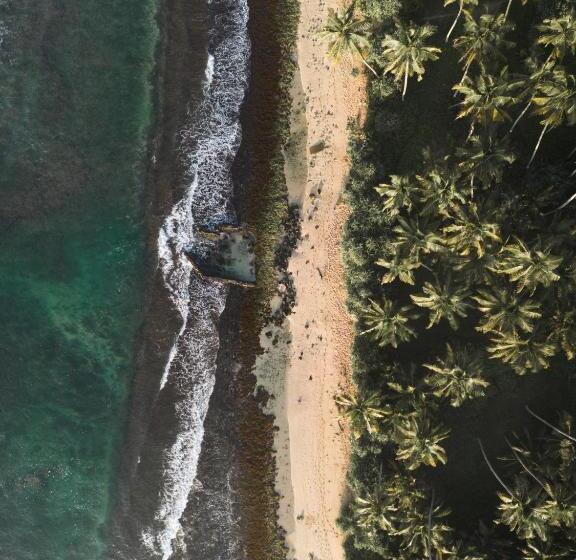 فندق Swell Shacks