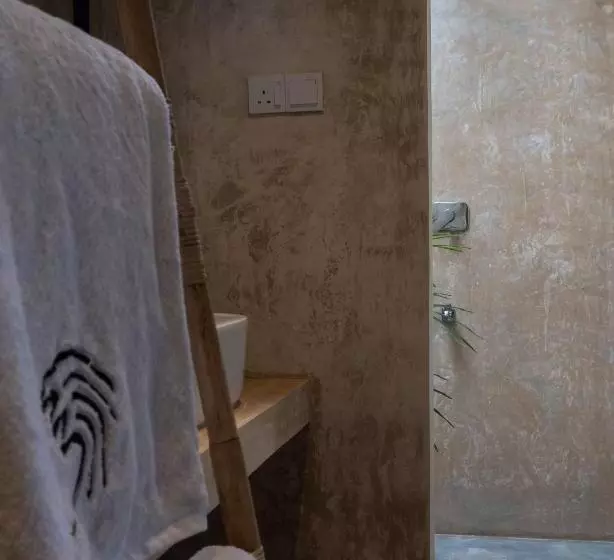 ホテル Swell Shacks