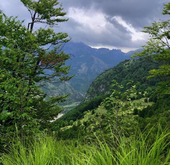 هاستل Guesthouse Pashko