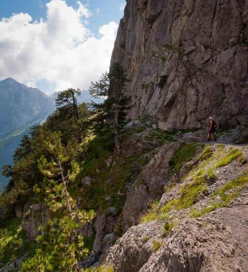 هاستل Guesthouse Pashko