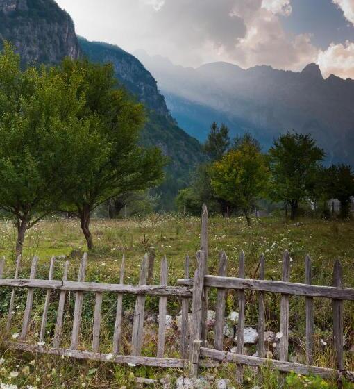 هاستل Guesthouse Pashko