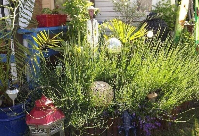 مبيت وإفطار Chambres D Hotes La Maison Bleue