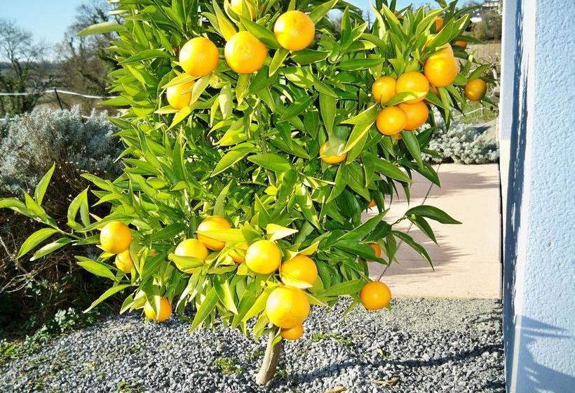 住宿加早餐 Chambres D Hôtes Relais Milord