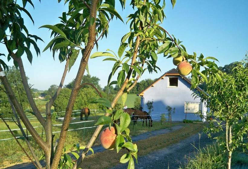 住宿加早餐 Chambres D Hôtes Relais Milord