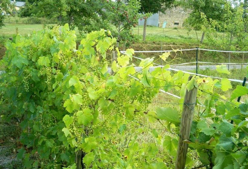 住宿加早餐 Chambres D Hôtes Relais Milord