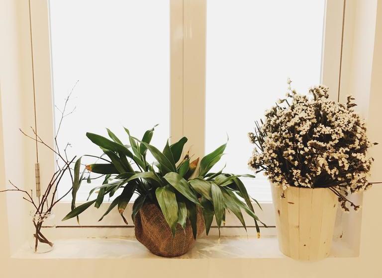 تختخواب و صبحانه Supe Homestay Hostel