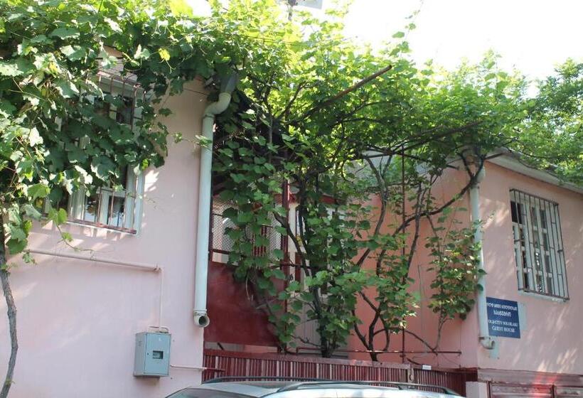 Hostel Old City Sololaki