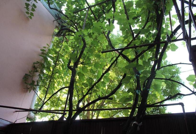 Hostel Old City Sololaki